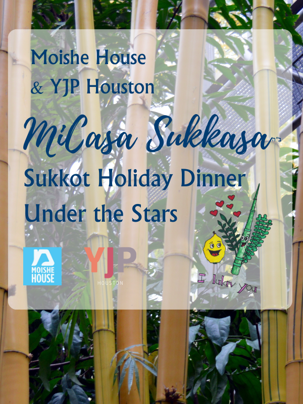 website Sukkot 5778
